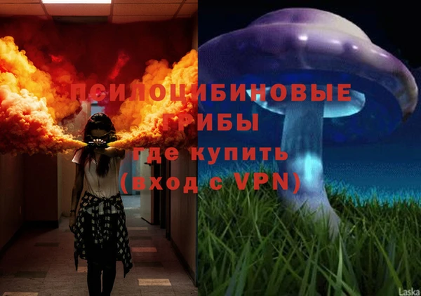 PSILOCYBIN Бугульма